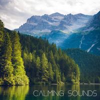 Calm - Calming Sounds
