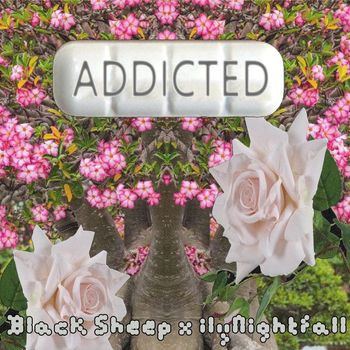 Black Sheep - Addicted