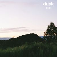 Field - Dusk