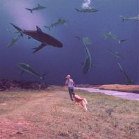 Bully & Soccer Mommy - Lose You