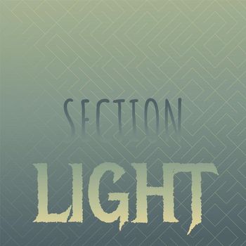 Various Artists - Section Light
