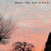 MOOZ - The Way It Feels