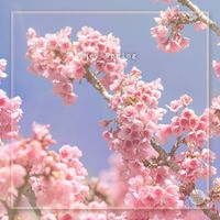GMG - Hey Spring