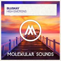 Bluskay - High Emotions
