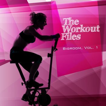 Various Artists - The Workout Files - Bigroom, Vol. 1 (Explicit)