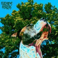 grape milk - All i want is you!!!!