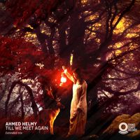 Ahmed Helmy - Till We Meet Again