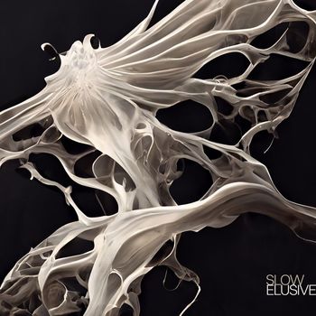 Slow - Elusive
