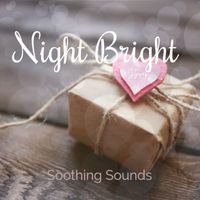 Steven - Night Bright