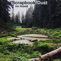 No Mood - Scrapbook/Dust