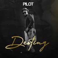 Pilot - Destiny