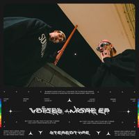 Stereotype - VOICES + MORE EP