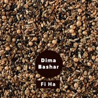 Dima Bashar - Fi Ha (Remix)