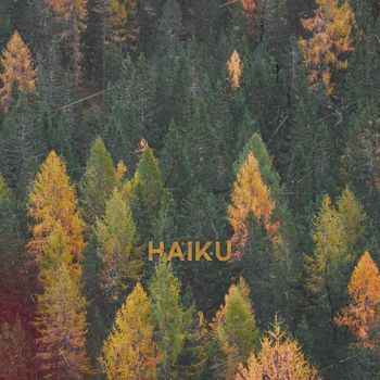 Mr. Chiru - HAIKU