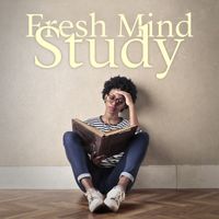 Chillout - Fresh Mind Study: Chillout Music to Study