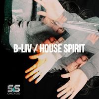 B-Liv - House Spirit