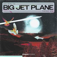 Alok & Mathieu Koss - Big Jet Plane (Pharmacist Remix)