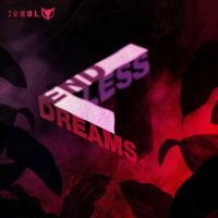 Torul - End Less Dreams