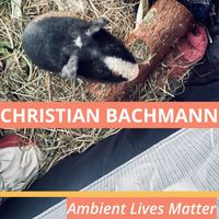 Christian Bachmann - Ambient Lives Matter