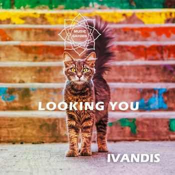 IVANDIS - Looking You