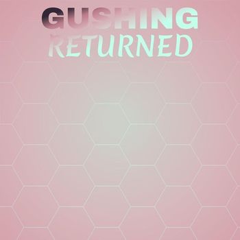 Various Artists - Gushing Returned