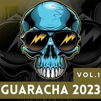 DJ Mario - GUARACHA 2023 VOL.1
