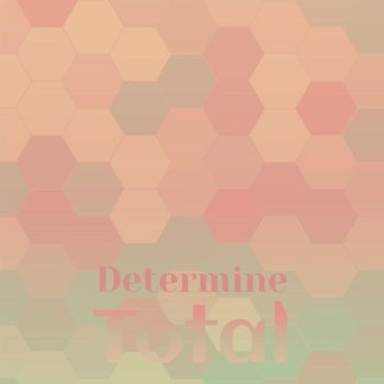 Various Artists - Determine Total