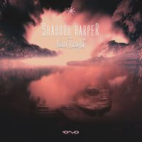 Shabboo Harper - Never Thought