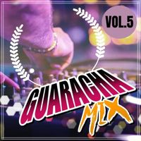 DJ Robin - GUARACHA MIX VOL.5