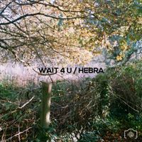 Pharma - Wait 4 U / Hebra