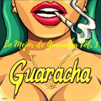 DJ Marcos - LO MEJOR DE LA GUARACHA VOL.1