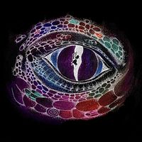 Souldrop - No Fool (Radio Edit)