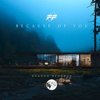 FF - Because of You