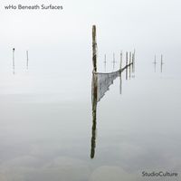 Who - Beneath Surfaces