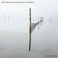 Who - Beneath Surfaces (Drum and Bass)