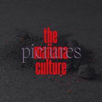 The Mañana Culture - Pictures