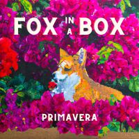 Primavera - Fox in a Box