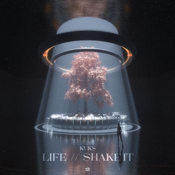 KuKs - Life / Shake It