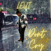 Levi - Dont Cry (Explicit)