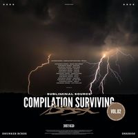 Subliminal Source - Compilation Surviving Vol.2