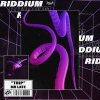 MR LATE - TRIP / BAD TRIP