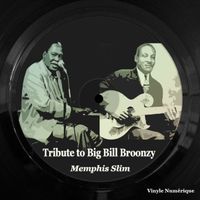 Memphis Slim - Tribute to Big Bill Broonzy