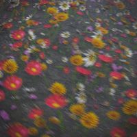 Audio Dope - Flowers (Explicit)