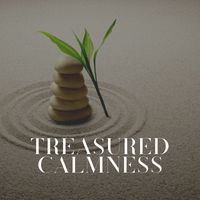 Ambient 11 - Treasured Calmness