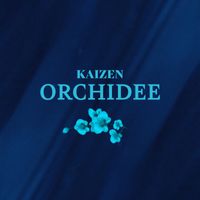 Kaizen - Orchidee
