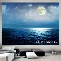 Blue Brainwave Blues - Quiet Nights