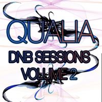 Qualia - Dnb Sessions, Vol. 2