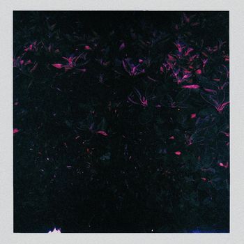 VYDE - Indigo