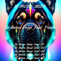 DJ Baloo - Deep Soul