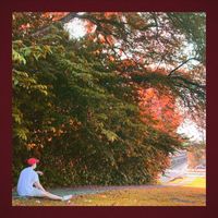 Jimbo - Songs from the Earth Tree